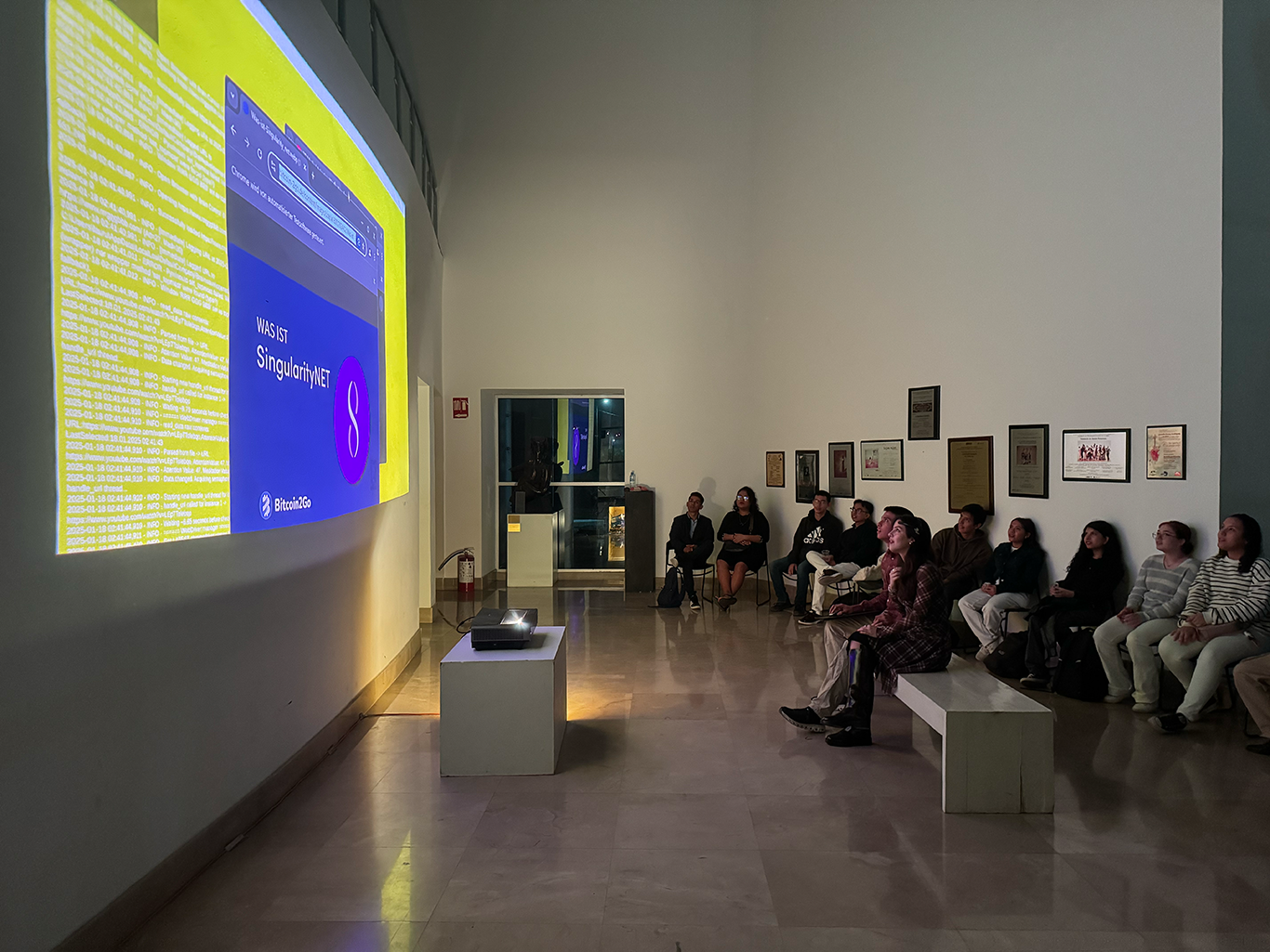 Installation view at Tampico