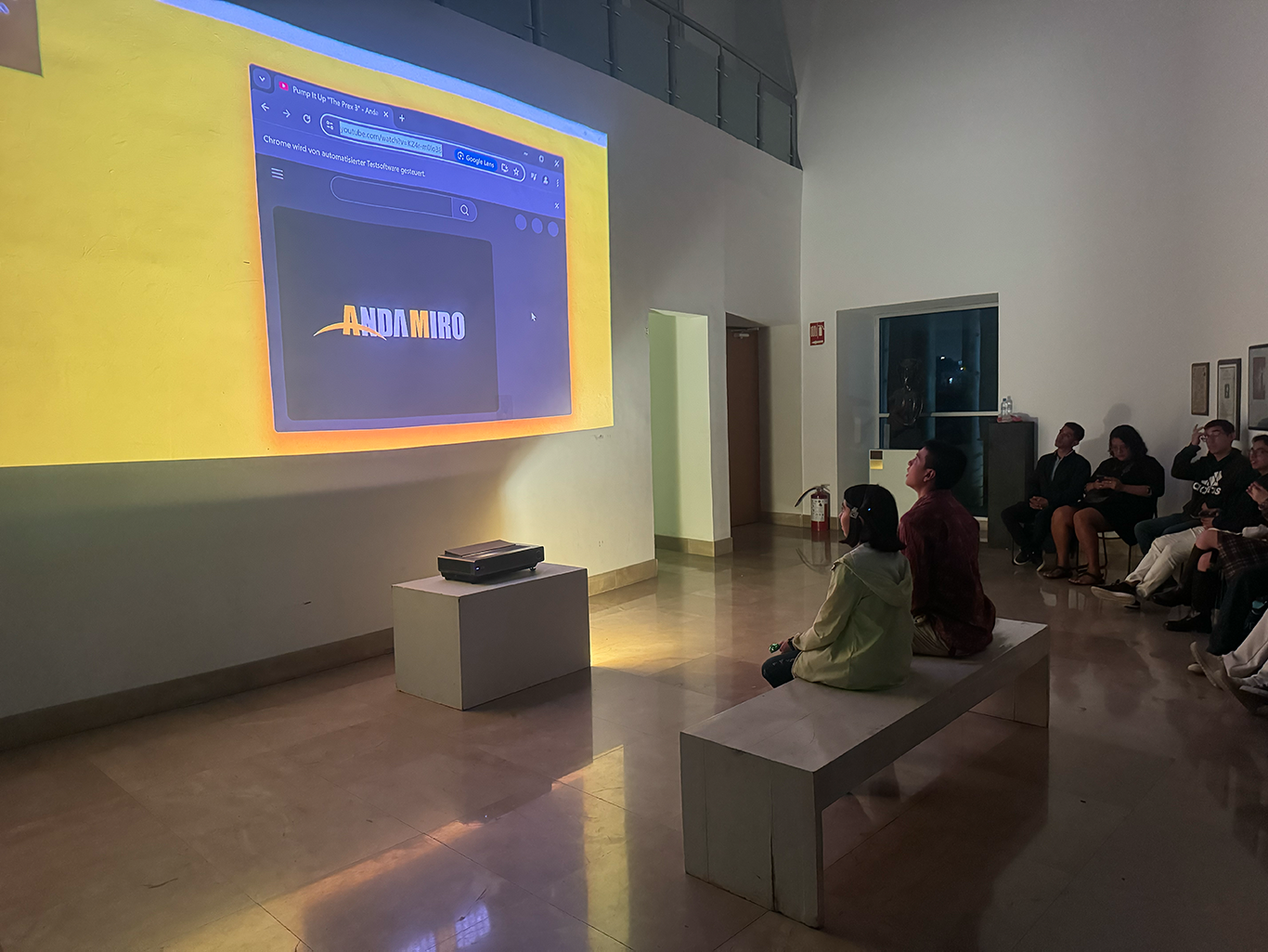 Installation view at Tampico