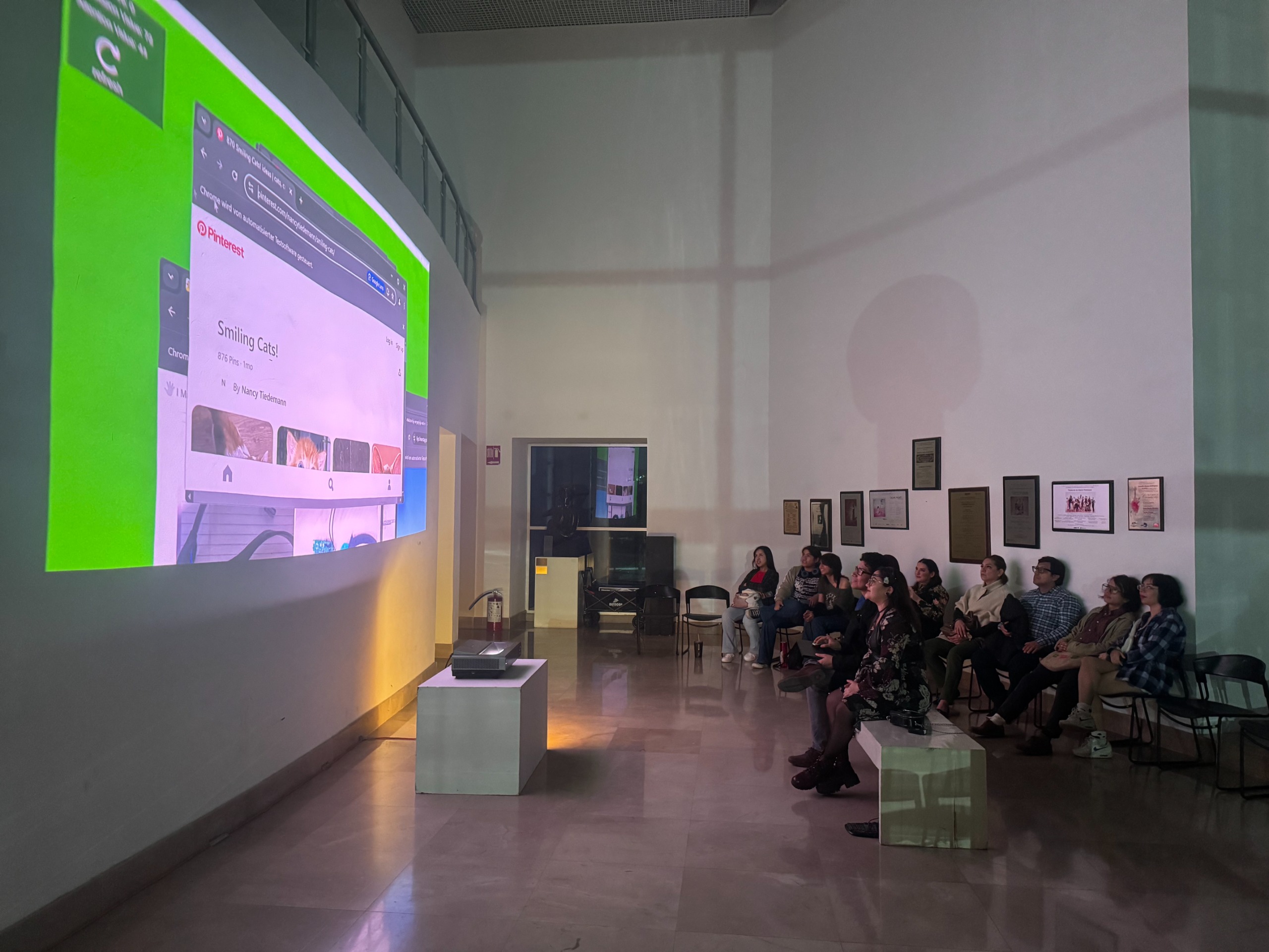 Installation view at Tampico